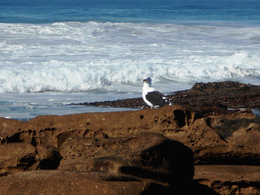 The Coelacanth Guest House And Beach Thyme Self Catering Kiddʼs Beach Esterno foto