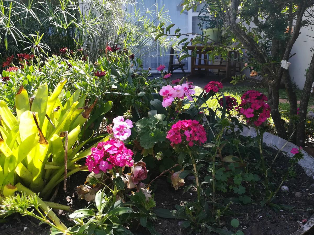 The Coelacanth Guest House And Beach Thyme Self Catering Kiddʼs Beach Esterno foto