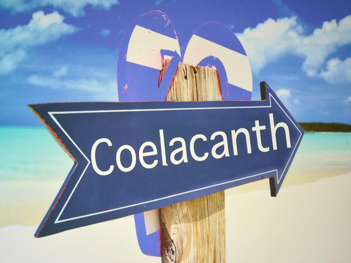 The Coelacanth Guest House And Beach Thyme Self Catering Kiddʼs Beach Esterno foto